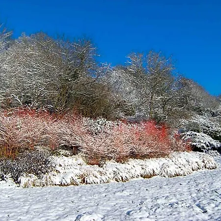 Clos Du Ry De Snaye