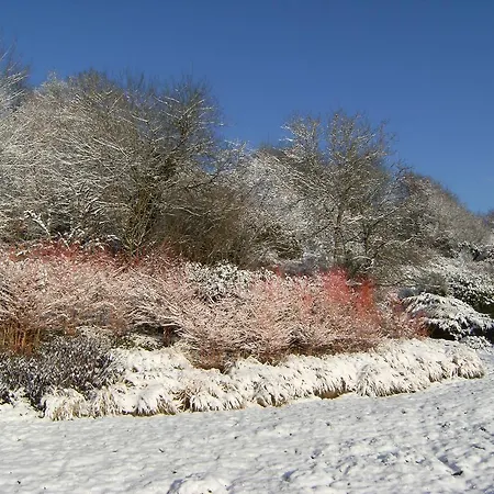 Clos Du Ry De Snaye Борен